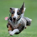 แม่กลอง อัมพวา