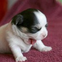 สมาชิกหมายเลข 733800