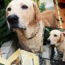 สมาชิกหมายเลข 736874