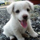 สมาชิกหมายเลข 1132949