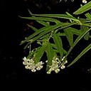 สมาชิกหมายเลข 1542849