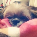 สมาชิกหมายเลข 1543064