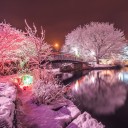 สมาชิกหมายเลข 985905