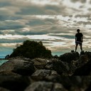 ~ หมูป่า สีดำ ~