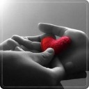 สมาชิกหมายเลข 1555577