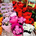 สมาชิกหมายเลข 842404