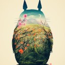 เจ้าเด็กหัวฟู