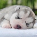 สมาชิกหมายเลข 738233