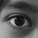 สมาชิกหมายเลข 738240