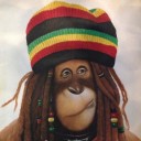 สมาชิกหมายเลข 1543944