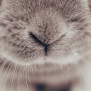 สมาชิกหมายเลข 900406