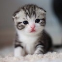 สมาชิกหมายเลข 2401647