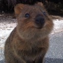 สมาชิกหมายเลข 1648933