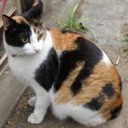 สมาชิกหมายเลข 738365