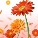 สมาชิกหมายเลข 738544