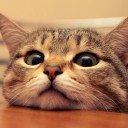 ตีสองสิบสี่