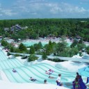 สมาชิกหมายเลข 774744