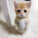 สมาชิกหมายเลข 1976358