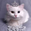 สมาชิกหมายเลข 1976366