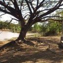 Neung รัชดา