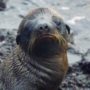 ฝนสลัดมือ