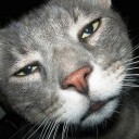 สมาชิกหมายเลข 1414596