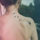 สมาชิกหมายเลข 2313340