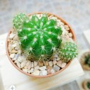 สมาชิกหมายเลข 2764670