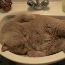 สมาชิกหมายเลข 731740