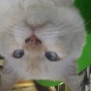 สมาชิกหมายเลข 721365