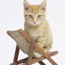 สมาชิกหมายเลข 739521