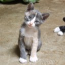 สมาชิกหมายเลข 739565