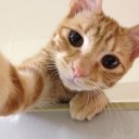 สมาชิกหมายเลข 739602