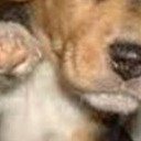 สมาชิกหมายเลข 1524465