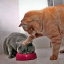 สมาชิกหมายเลข 1545737