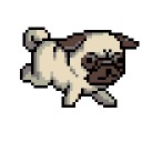 สมาชิกหมายเลข 1545814