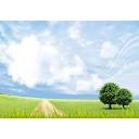 สมาชิกหมายเลข 1545894