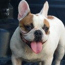 สมาชิกหมายเลข 1977313