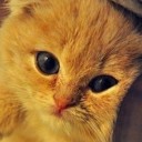 แถวบ้านเรียกว่าสวย