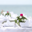 สมาชิกหมายเลข 1388524