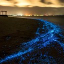 สมาชิกหมายเลข 2444137