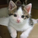 สมาชิกหมายเลข 3190572