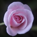 นายซุ่มซ่าม