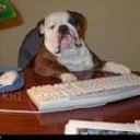 สมาชิกหมายเลข 736779