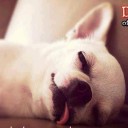 สมาชิกหมายเลข 894190