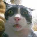 พราวประกาย