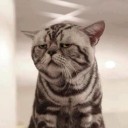 สมาชิกหมายเลข 871532