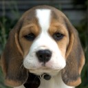 สมาชิกหมายเลข 1846336