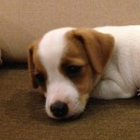 สมาชิกหมายเลข 1864162