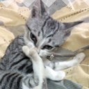 สมาชิกหมายเลข 1957213